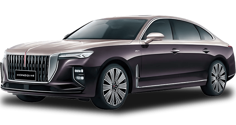 HỒNG QI H9