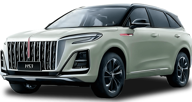 HỒNG QI HS3